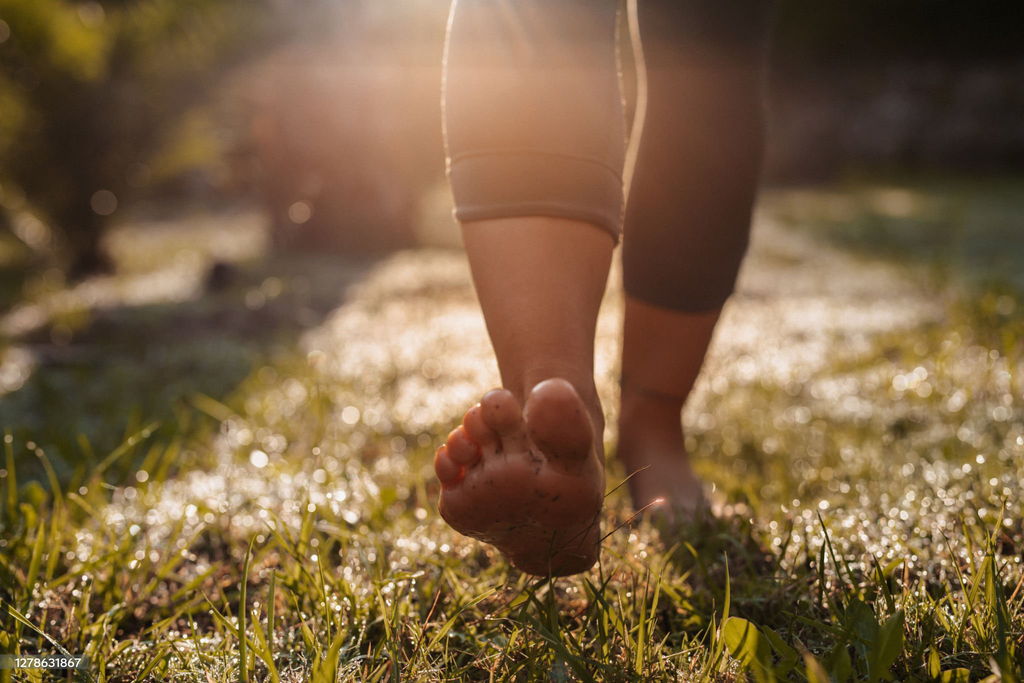 Starting with Barefoot: Everything You Need to Know