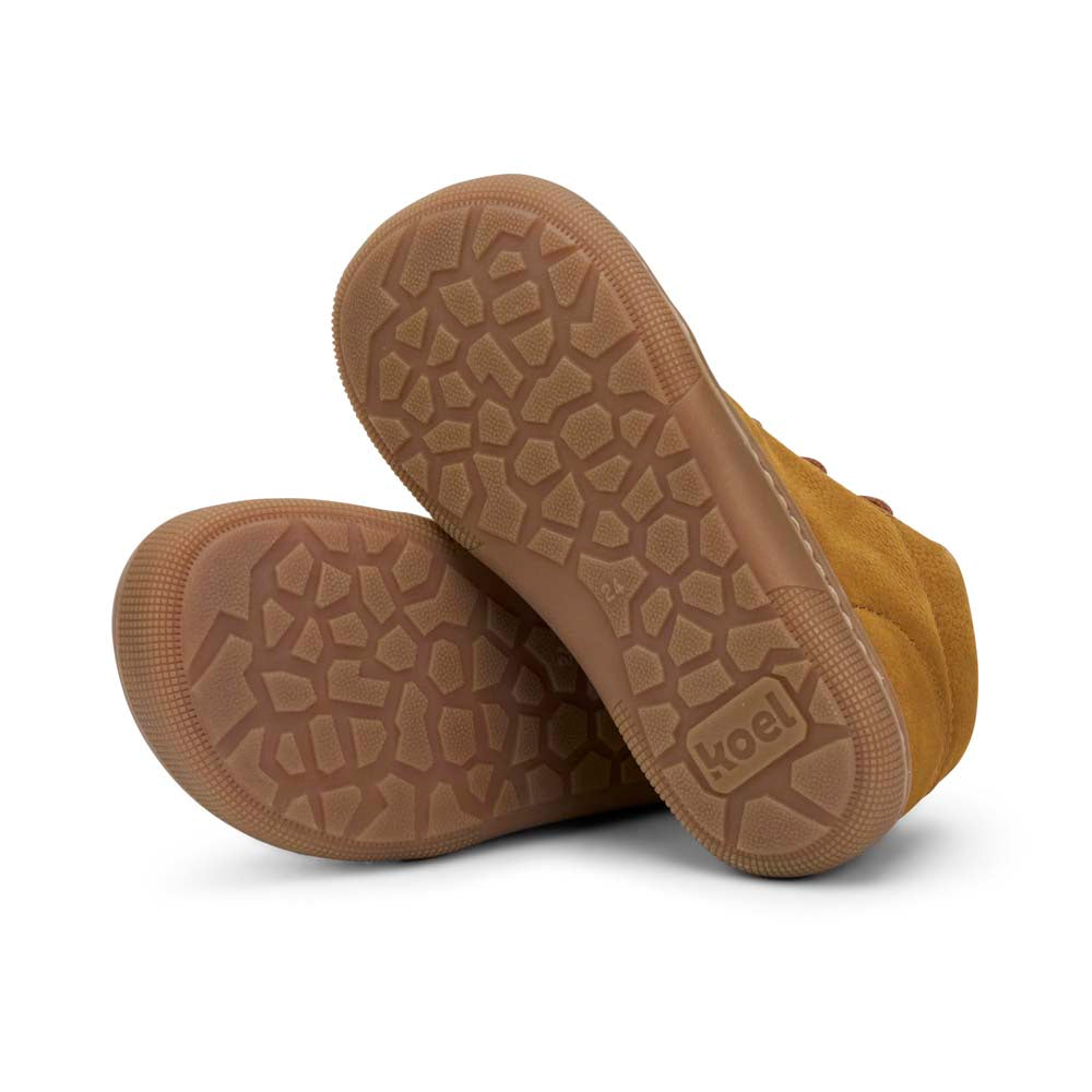 DELI 2.0