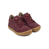 DION Wool