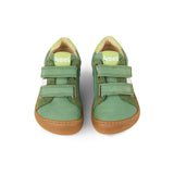 DENIS Napa New 3.0