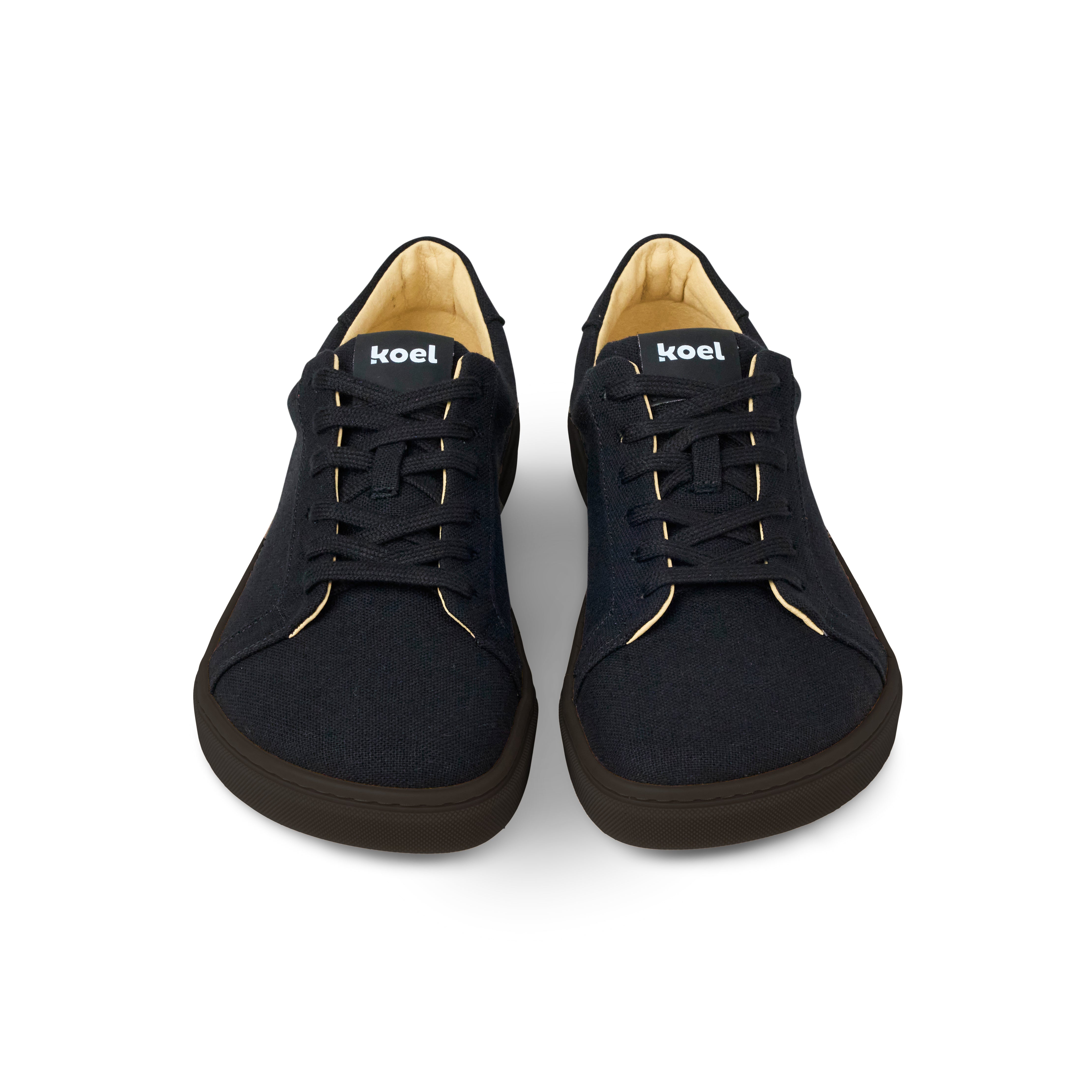 HAZEL Canvas